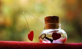 images (1)