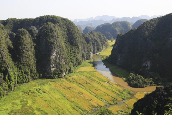 dep me mai canh lua chin phu vang nhin tu 