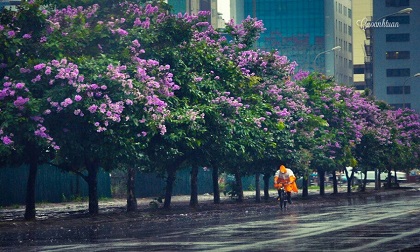 Thời tiết ngày 2/6: Miền Bắc mát mẻ, Trung và Nam Bộ đối diện với áp thấp nhiệt đới