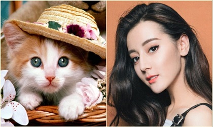 Trong tháng 6, những con giáp này thích hợp chuyển việc, bắt đầu công việc mới