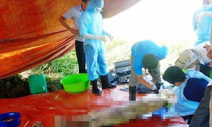 Vụ khai quật thi thể nữ kế toán: Giám đốc BVĐK Yên Thành lên tiếng
