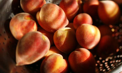 Mận, đào tiêu diệt tế bào ung thư vú
