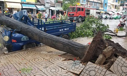 5 người bị thương trong cơn giông lốc khủng khiếp ở Sài Gòn
