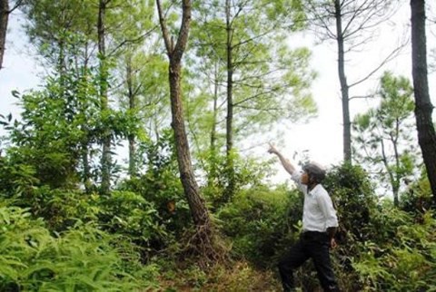 Vụ khai quật tử thi nữ kế toán: Luật sư nói chiếc bật lửa gần thi thể chưa được làm rõ