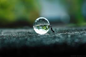 images (2)