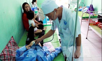 Thái Bình: 50 người bị ngộ độc do ăn tiết canh lợn rừng nuôi tại nhà