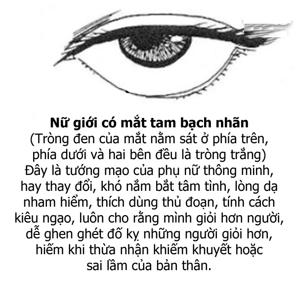 xem-tuong-mat-tuong-mat-tam-bach