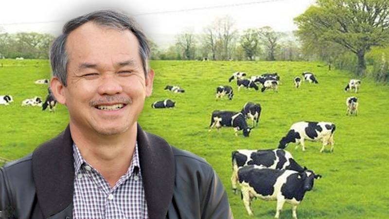 Có tiền, bầu Đức sẽ khôi phục đàn bò - 1