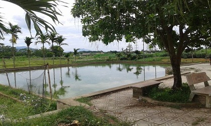 Hai chị em 4 tuổi và 2 tuổi đuối nước ở ao đình: Lời kể ám ảnh của nhân chứng