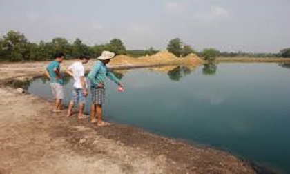 Hai mẹ con ra ao vớt ốc không may trượt chân xuống nước chết đuối