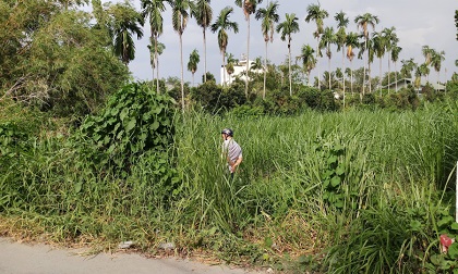 Phát hiện thi thể người đàn ông xăm trổ phân hủy mạnh trong đám cỏ