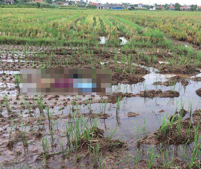 Phát hiện người phụ nữ tử vong giữa cánh đồng vắng - 1