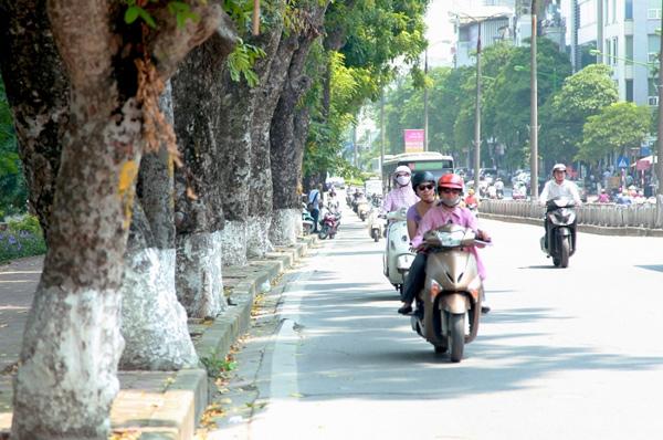 tin moi thoi tiet 24/6: nen nhiet giam nhe, ha noi mua dong vao chieu toi - 1