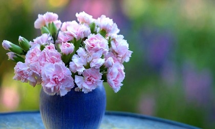 Tử vi thứ Ba ngày 3/7/2018 của 12 cung Hoàng đạo mới nhất