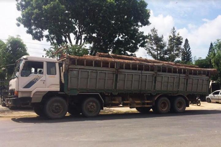 Vụ bắt trùm gỗ Phượng “râu”: Khởi tố và truy nã thêm 2 đối tượng