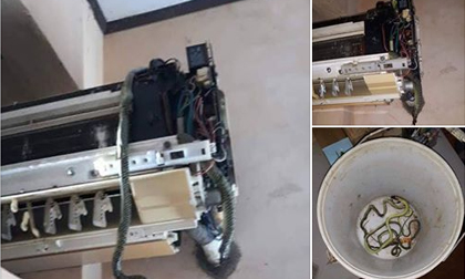 Bật điều hòa không mát, cô gái té xỉu khi trông thấy 'thủ phạm' bên trong và cái kết bất ngờ hút ngàn like