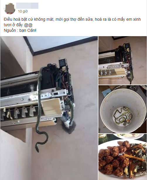 Bật điều hòa không mát, cô gái té xỉu khi trông thấy thủ phạm bên trong và cái kết bất ngờ hút ngàn like