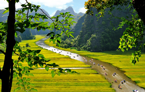 songhong2