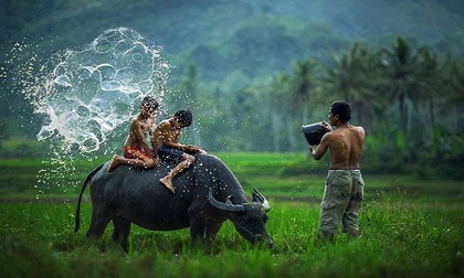 Tử vi thứ 7 ngày 21/7/2018 của 12 con giáp