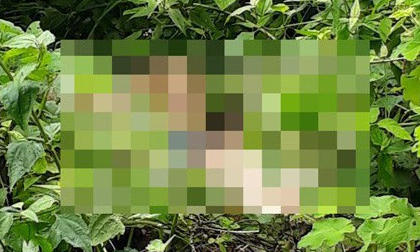 Người đàn ông xăm hình 'kiếp cô đơn' chết đói trong rừng