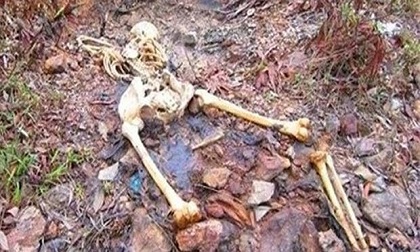 Giết người tình, chôn xác phi tang khi phát hiện có thai