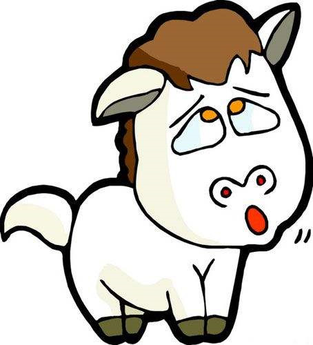 4_MUYE