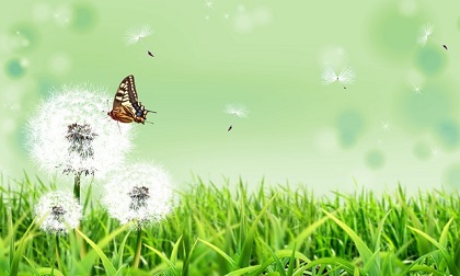 Tử vi thứ 7 ngày 28/7/2018 của 12 cung hoàng đạo chuẩn nhất