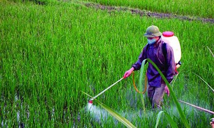 Sốc với kết quả xét nghiệm hoá chất độc hại trong máu của người Hà Nội
