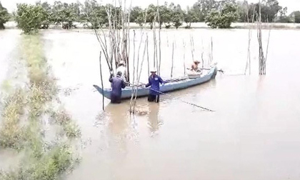 Miền Tây bắt đầu chống chọi với nước lũ từ sự cố vỡ đập ở Lào