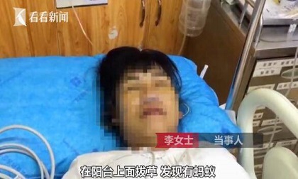 Một người tử vong, một người suýt chết chỉ vì loài côn trùng nhỏ bé có mặt ở nhiều nơi