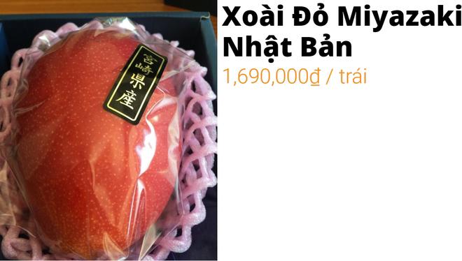 gioi nha giau chi tien trieu an nhan tim, xoai do - 3