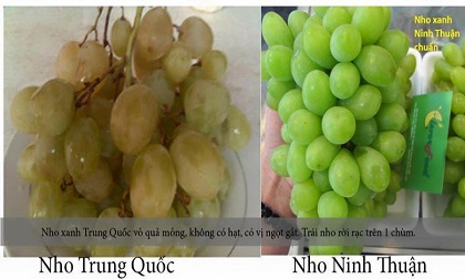 Những mẹo phân biệt thực phẩm Trung Quốc và Việt Nam, hoá ra chúng ta toàn mua nhầm đồ Trung Quốc