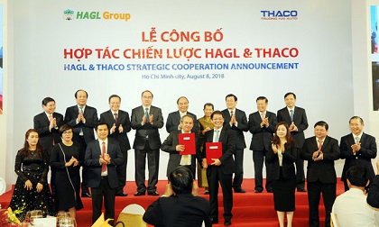 Tỷ phú Trần Bá Dương và Bầu Đức “về một nhà” cùng vực dậy HAGL