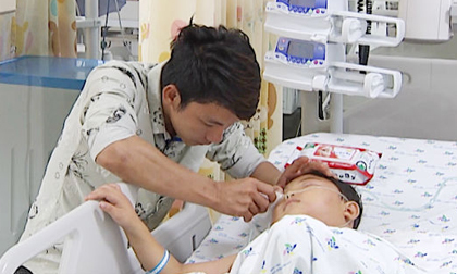 Thông tin mới nhất vụ 2 người chết, 3 người nguy kịch vì ong vò vẽ
