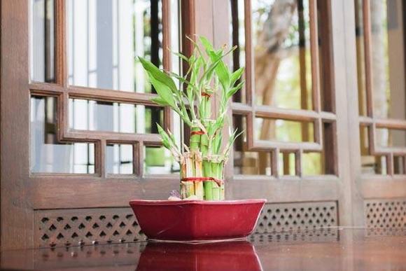 phong-thuy23-ngoisao.vn-w580-h387