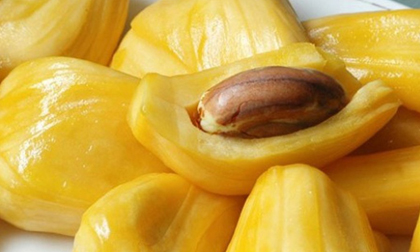 Loại quả 'cứu tinh' tương lai thế giới, thứ tầm thường lăn lóc ở Việt Nam