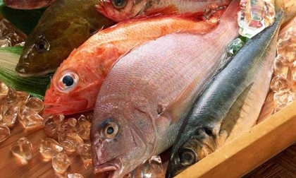Các cách bảo quản thực phẩm tươi lâu và cất giữ trong tủ lạnh đúng cách