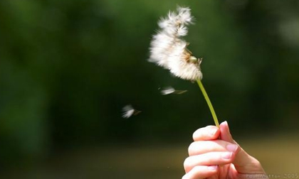 Có lúc đừng sống quá tốt, cũng đừng quá rộng rãi… vì không phải ai cũng trân trọng sự chân thành của bạn đâu