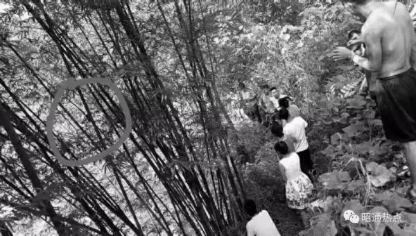 bo me ly hon, con gai 8 tuoi bi di ghe danh nut so, doi nuoc soi roi phi tang - 1