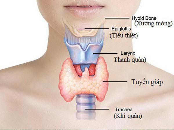 dau hieu nhan biet ve benh tuyen giap ma hoa hau pham huong mac phai - 1