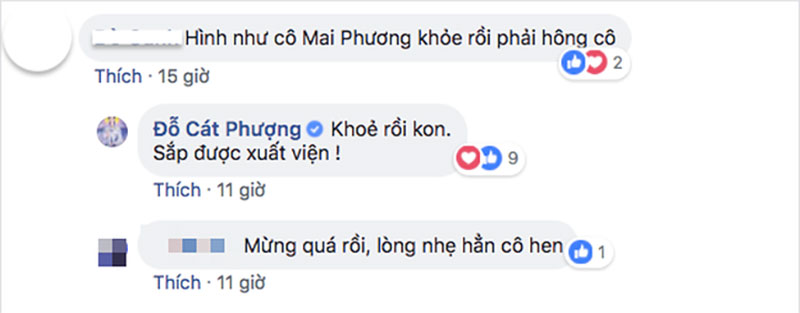 Vui mừng trước tin Mai Phương sắp được xuất viện sau thời gian điều trị bệnh ung thư