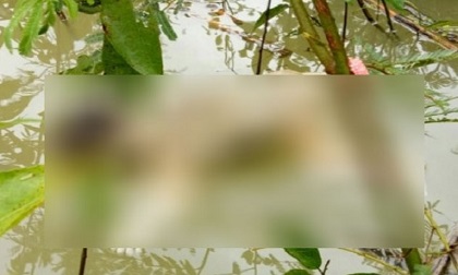 Phát hiện thi thể bé trai 2 tuổi đang phân hủy trên sông