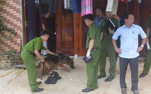 bac sy bi nghi giet vo o cao bang co the chiu hinh phat nao? hinh anh 1