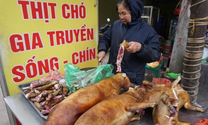Hà Nội dự kiến cấm kinh doanh, buôn bán, giết mổ chó, mèo ở các quận từ năm 2021