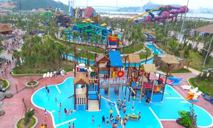 SỐC: 7 người tử vong khi tham gia lễ hội âm nhạc tại Hà Nội