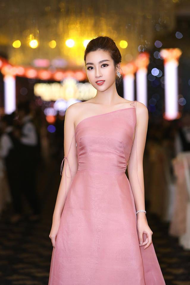 Đỗ Mỹ Linh: Từ cô gái bị chê bầm dập với nhan sắc thiếu mì chính lúc đăng quang đến danh xưng Hoa hậu bảo vật quốc gia - Ảnh 2. Đỗ Mỹ Linh: Từ cô gái bị chê bầm dập với nhan sắc thiếu mì chính lúc đăng quang đến danh xưng Hoa hậu bảo vật quốc gia - Ảnh 2.