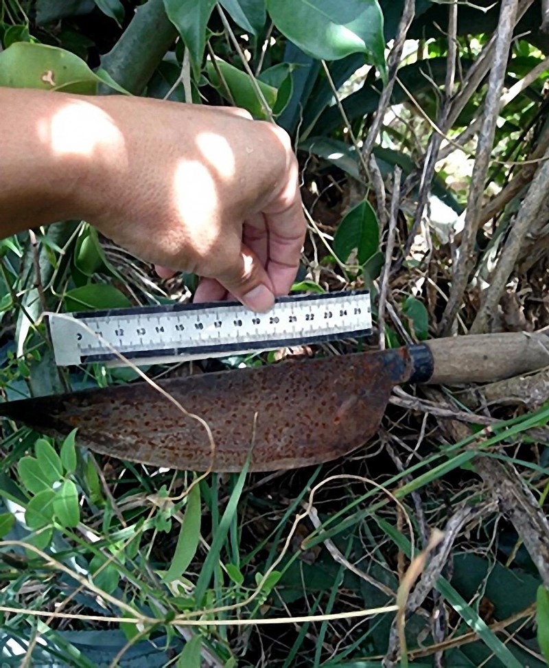 Cô gái đang ngủ trong nhà, bất ngờ bị đâm nhiều nhát - ảnh 2