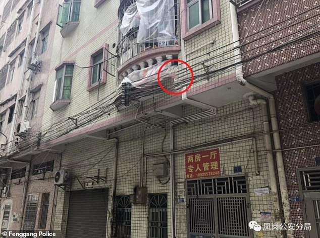 Đứng tim với khoảnh khắc cảnh sát và người đi đường dùng chiếu hứng được bé trai lơ lửng trên dây điện rồi rơi xuống - Ảnh 3.