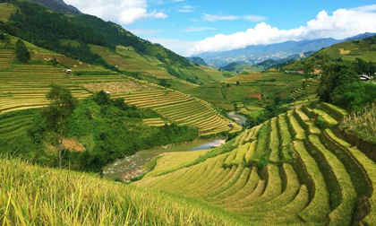 Mù Cang Chải đẹp ngỡ ngàng giữa mùa vàng níu chân mọi du khách