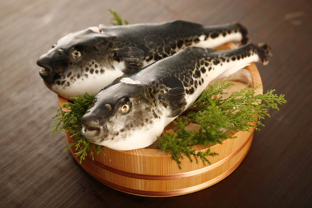 5 món ăn kỳ lạ nhất hành tinh, nhất định phải thử một lần trong đời - 1